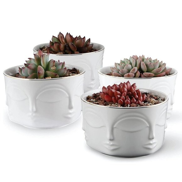 Set of 4 Stunning Face Pot Indoor Planter - Picture 2 of 4